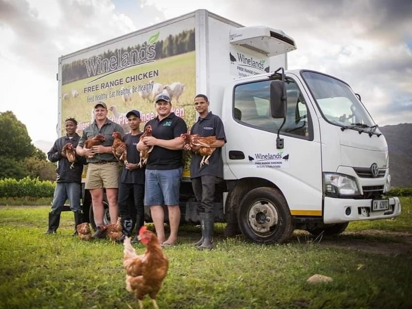 Pasture-raised eggs