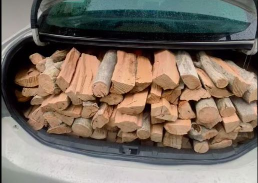 blue gum pine firewood